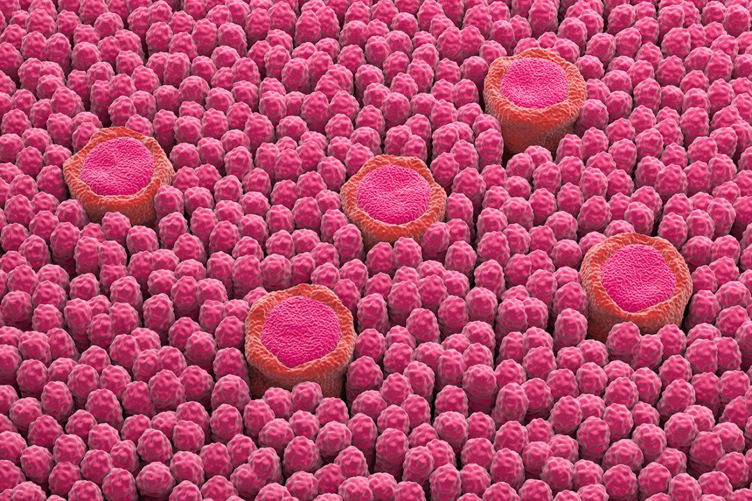 Scientists Discover New Taste Beyond the 5 We Know