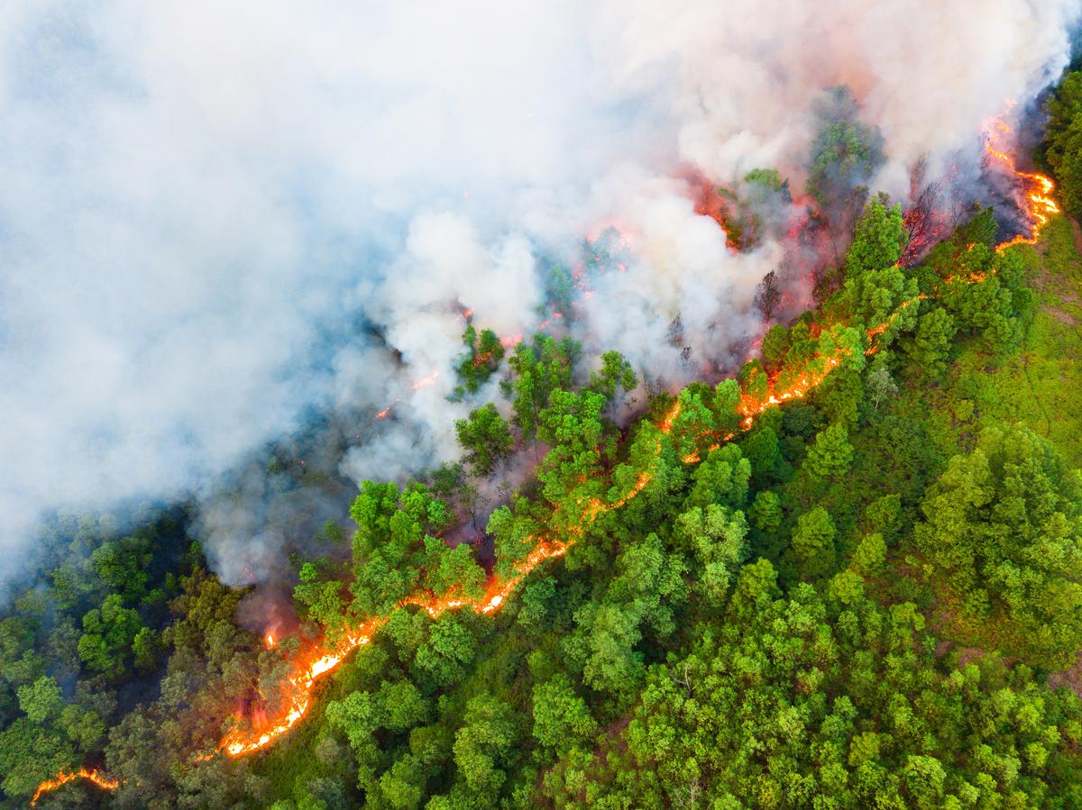 "Forest Fire Boundary" by Tran Tuan of Vietnam bagged the title of Standard Chartered Weather Photographer of the Year 2023 Runner up – 2nd Place. Mr. Tuan used a drone to capture the devastating effect of a forest fire in Bac Giang province, Vietnam. (Courtesy of Tran Tuan via Weather Photographer of the Year)