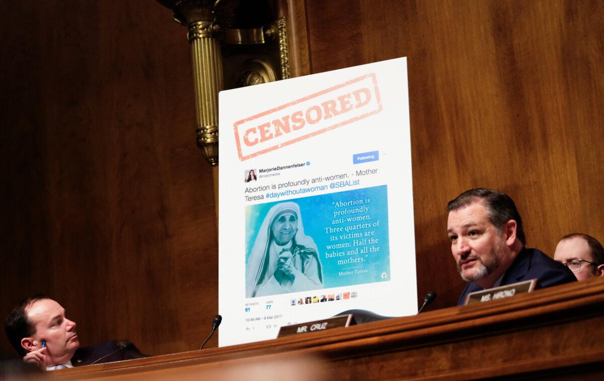 Sen. Ted Cruz (R-Texas) speaks about free speech at a Senate Judiciary Committee hearing in Washington on April 10, 2019. (Alex Wroblewski/Getty Images)