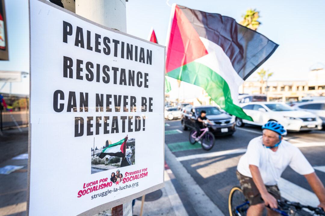 Pro-Hamas Groups Push Critical Race Theory, Socialism in US