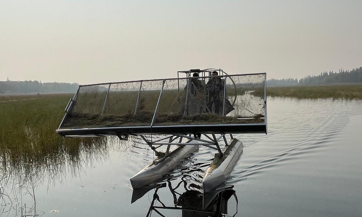 2023 a Great Year for Canada’s Wild Rice Production