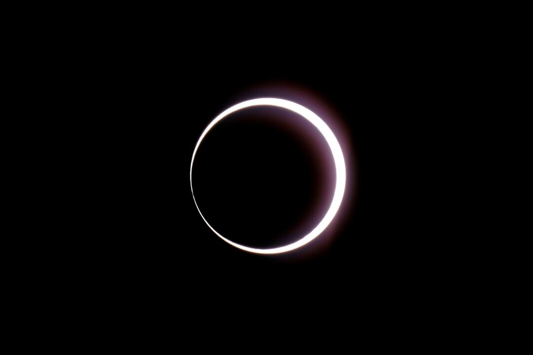 ‘Ring of Fire’ Eclipse Brings Cheers and Shouts of Joy as It Moves Across the Americas