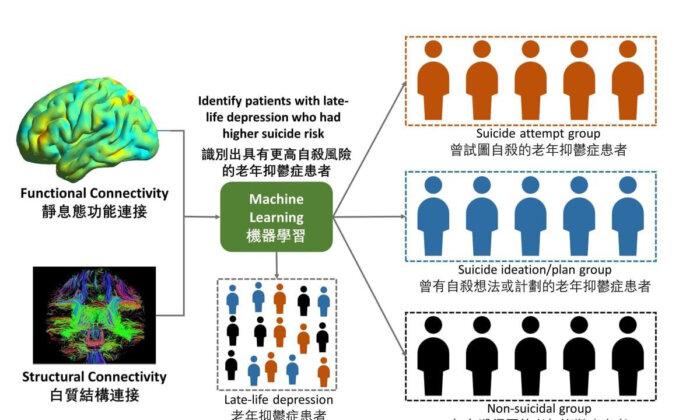 Brain Connectivity Patterns a Reliable Indication of Suicide Risk in Elderly Patients Suffering From Depression: HKU
