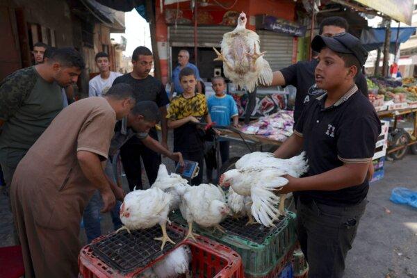 A Palestinian butcher sells chickens, due to lack of electricity to butcher them, at the Rafah refugee camp, in the southern Gaza Strip on Oct. 15, 2023. (MOHAMMED ABED/AFP via Getty Images)