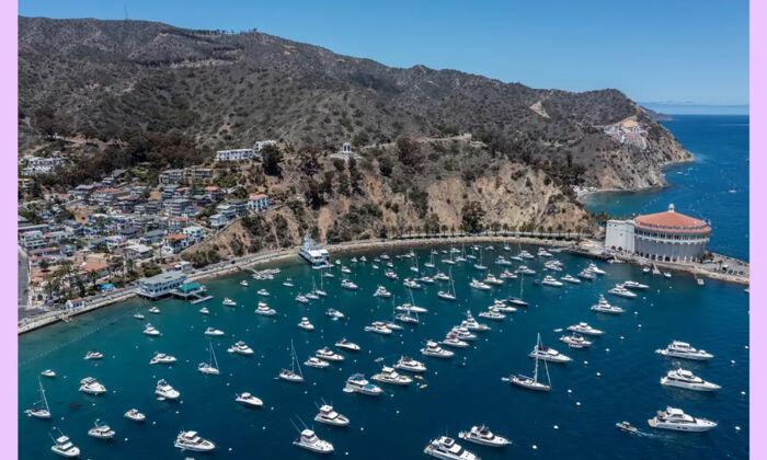 4 Men, a Boat and a Catalina Island Trip That Gave Me Perspective on Sailing Into Midlife