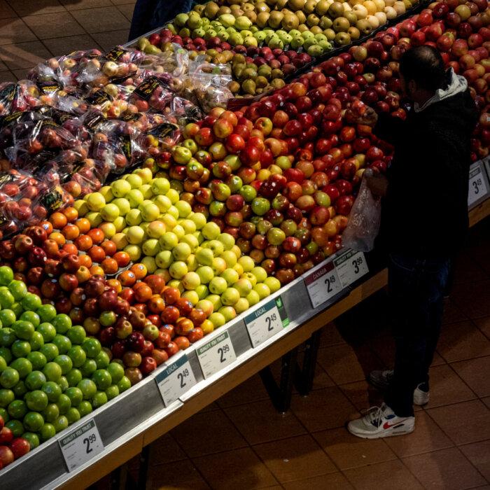 A Third of Canadians Have Borrowed Money to Pay for Food, Other Necessities in 2024