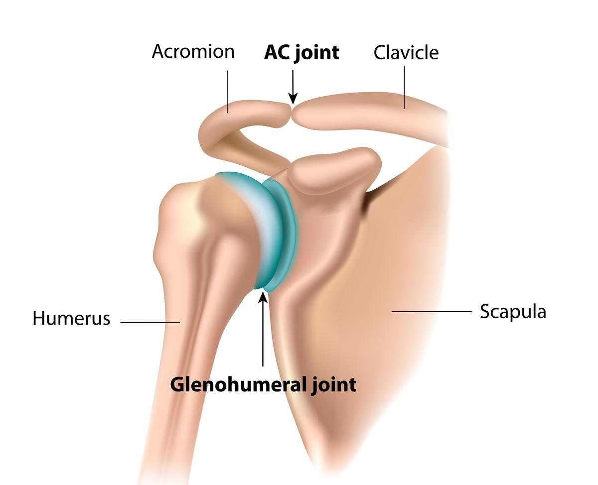 (Alila Medical Media/Shutterstock)