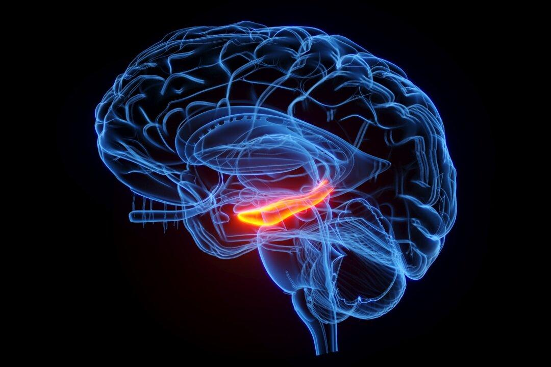 Some of Those Memories You’re Certain of May Be False: Study