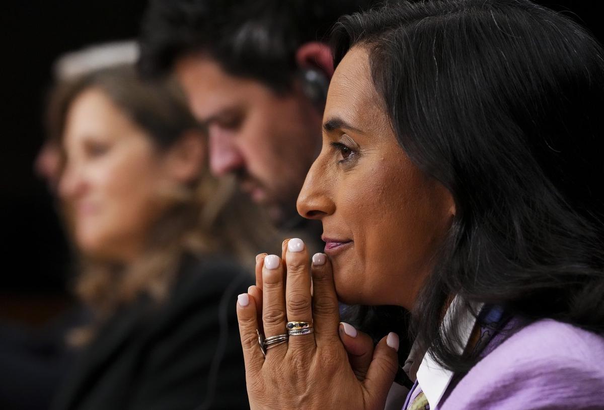 Government to Begin Sharing Results of Federal Spending Review Next Month, Anand Says