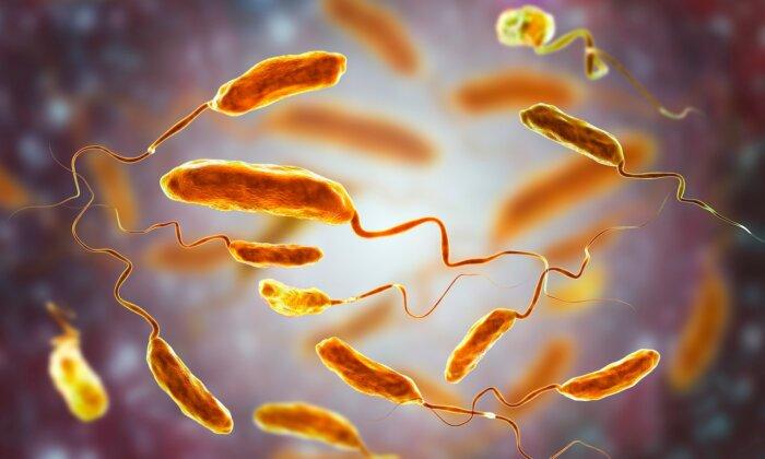 Flesh-Eating Bacteria Cases on the Rise: Here Are the Symptoms