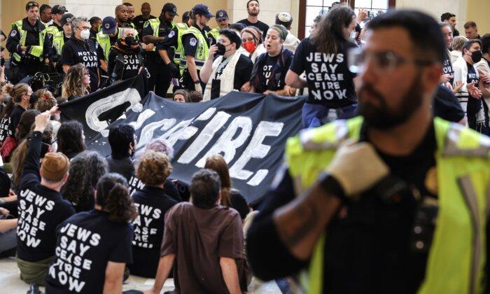 Protesters Calling for Israeli Cease-Fire Arrested After Entering Congress Building