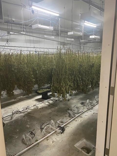 An indoor cannabis growing facility in Oakland, Calif. (Courtesy of the California Department Of Fish And Wildlife)