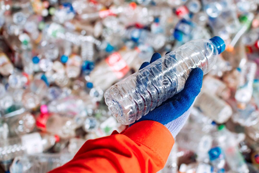 Zero Waste–One Woman’s Efforts to Create a Cleaner World