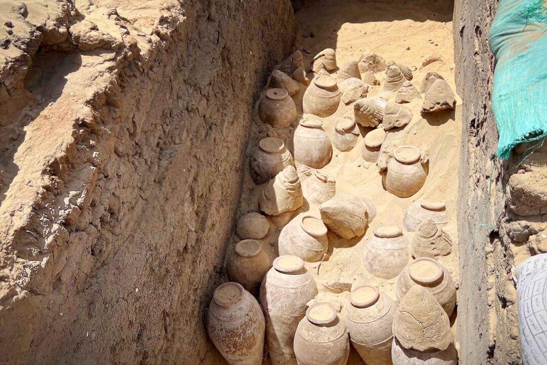 Scientists Find 5,000-Year-Old Jars of Wine With Preserved Grape Seeds in Tomb of Egyptian Queen
