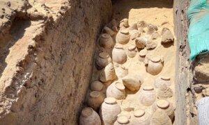 科学者たちは、エジプトの女王の墓で保存されたブドウの種と5,000年前のワインの瓶を発見します