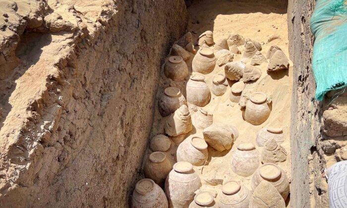 Scientists Find 5,000-Year-Old Jars of Wine With Preserved Grape Seeds in Tomb of Egyptian Queen