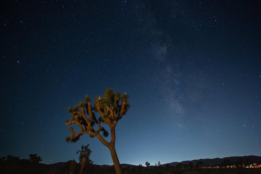 Want to Take Majestic Night Sky Photographs in the Desert? There’s a Class for That