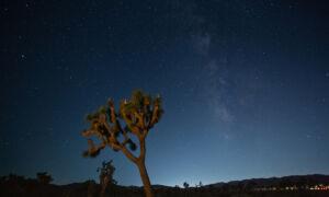 Want to Take Majestic Night Sky Photographs in the Desert? There’s a Class for That