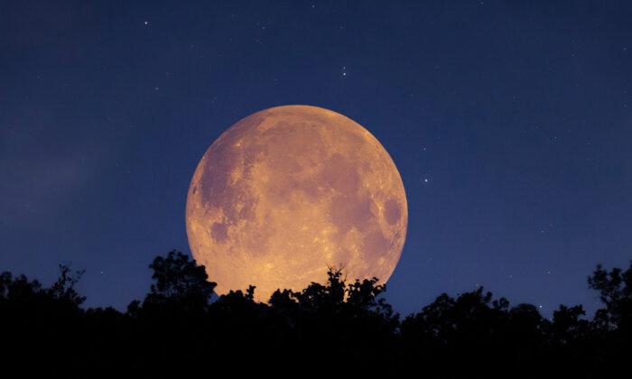Full 'Hunter's Moon' Set to Grace the Autumn Night Sky in October 2023—All You Need to Know