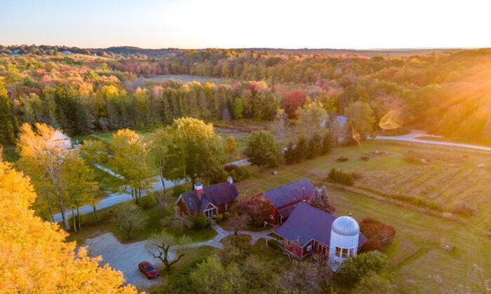 Connecticut’s Winvian Farm Offers a Luxury Treehouse, a Helicopter Lounge, and Seed-to-Fork Dining