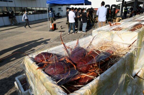 Boxes of lobsters seized by Hong Kong customs are displayed during a press conference in Hong Kong on Nov. 16, 2021, as authorities stepped up a crackdown on rampant smuggling of Australian rock lobsters into mainland China after Beijing imposed a trade ban on the popular seafood. (Peter Parks/AFP via Getty Images)
