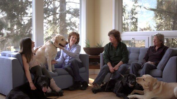 A group of dog lovers work to save a litter of sickly puppies, in "Puppy Love." (Cerise Films)