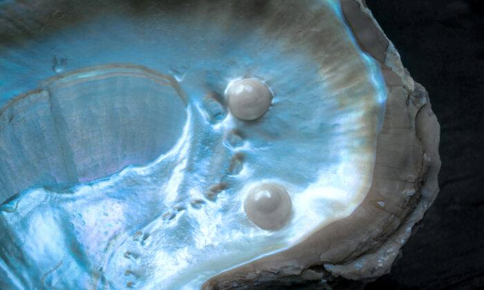 From Ancient Remedy to Modern Science: The Powerful Health Benefits of Pearl Powder
