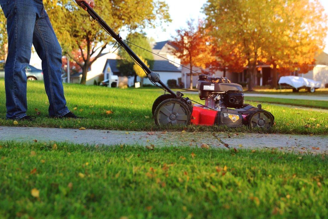Fall Landscaper Questions
