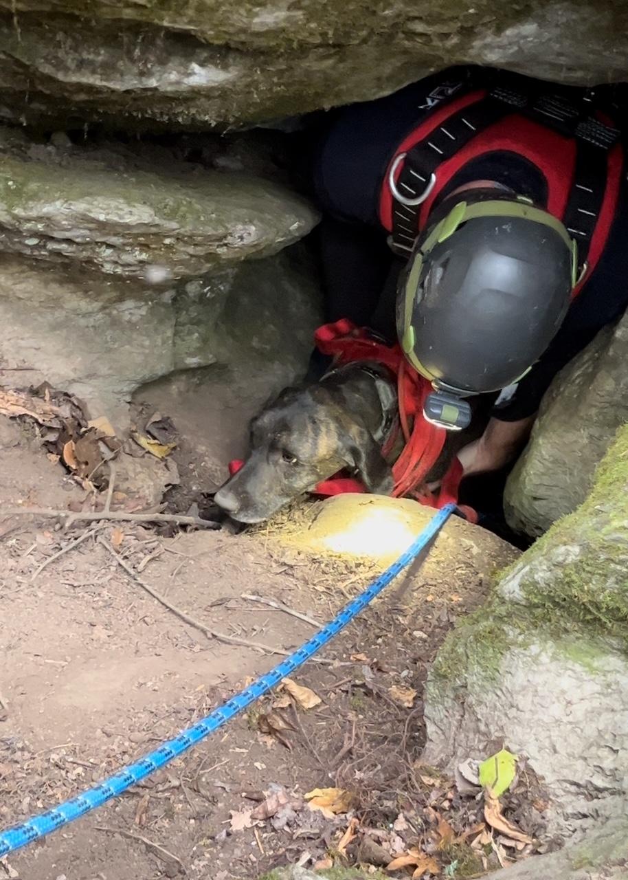 Rescuing Charlie from the trapped cave. (Courtesy of Waldens Creek Volunteer Fire Department)