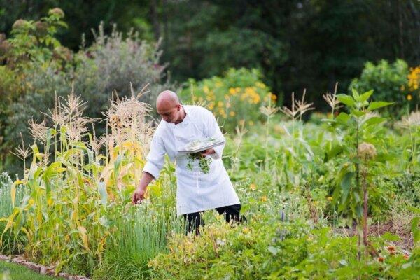 Chef Patrick harvests fresh ingredients from the garden for the day's dining service. (Courtesy of Winvian Farm)