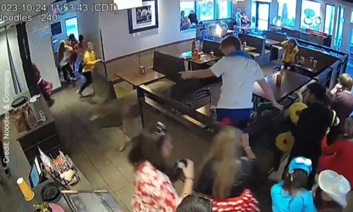 Deer Scatters Guests as it Charges Through Wisconsin Restaurant