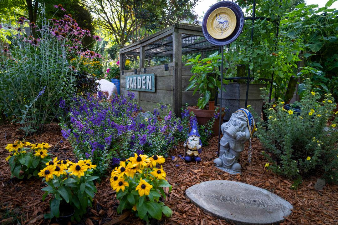 Skol! Beautiful Winner Landscape Includes Minnesota Vikings-Themed Patch