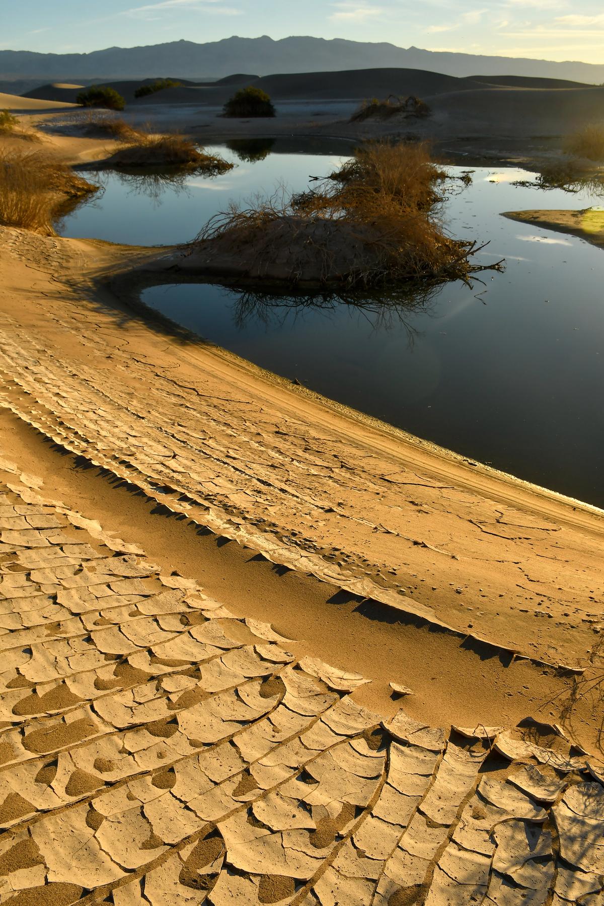 ‘I’ve Never Seen Anything Like This’: Death Valley Gleams With Water, Wildflowers, and Color