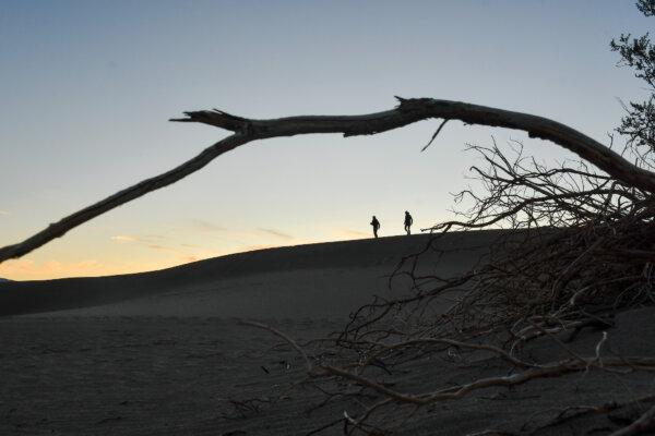 Mesquite Flat Sand Dunes, Death Valley National Park. (Christopher Reynolds/Los Angeles Times/TNS)