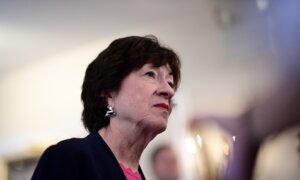 Sen. Collins to Vote for Gabbard as Director of National Intelligence