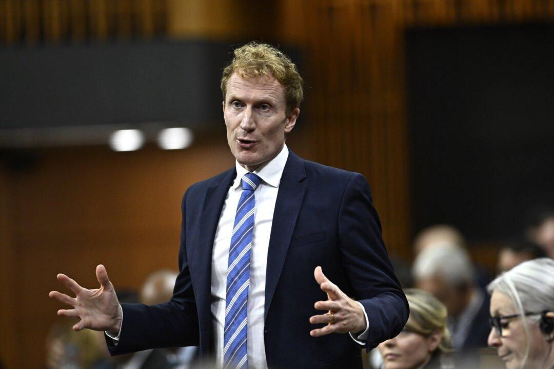 Miller to Provinces: If You Can’t Fix International Student Rackets Then Feds Will