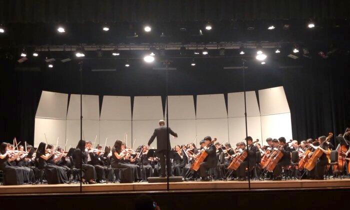 Beethoven: Symphony No. 7, II. Allegretto | Plano West Symphony Orchestra