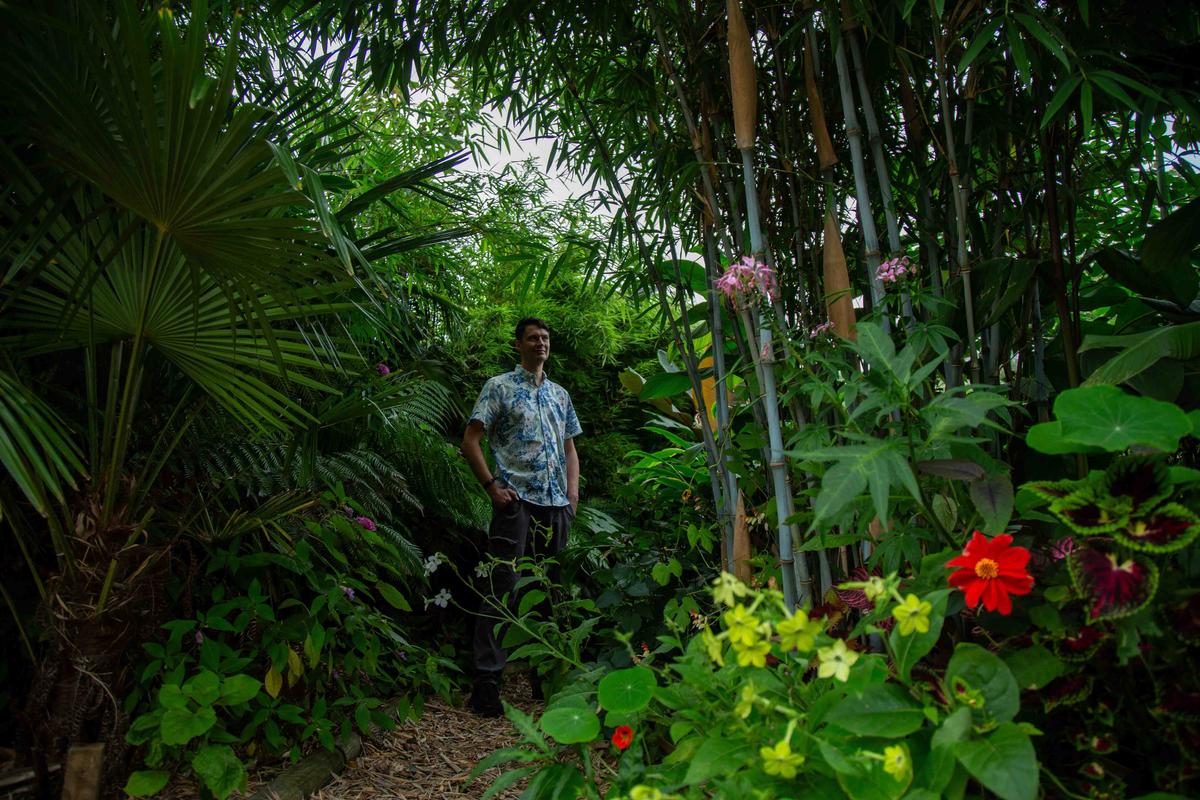 The green-fingered dad says he has "no need" to take overseas holidays after creating an incredible "jungle" in his back garden. (SWNS)