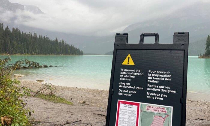 Parks Canada Says Whirling Disease Could Decimate Fish, Respect BC Closures