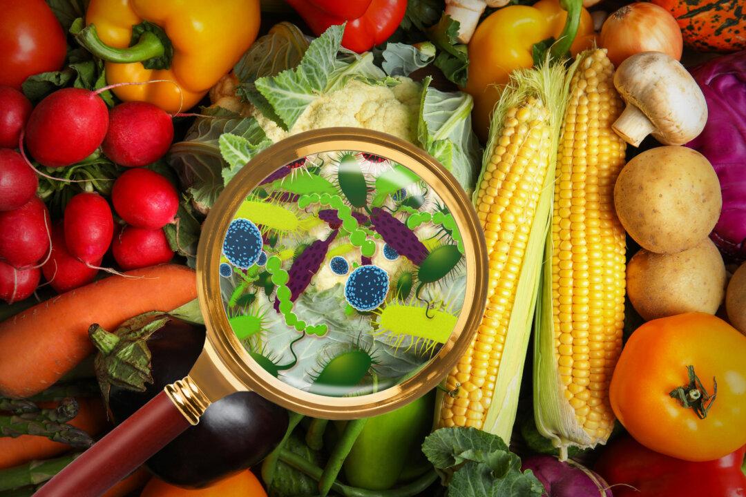 The Link Between Microbes and Human Behavior