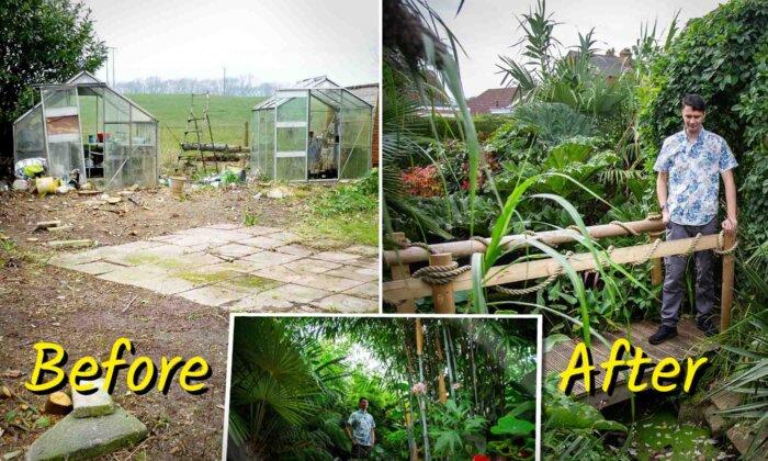 Homeowner Turns Shoddy Yard Into Incredible Tropical 'Jungle' Garden—Here Are the Photos