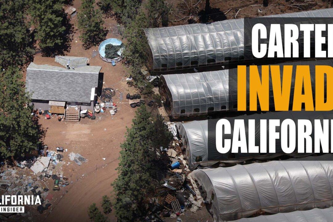 How Cartels Are Taking Over California’s Rural Counties | Jeremiah LaRue
