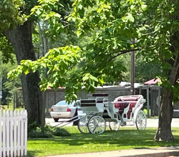 This carriage is at The Grove in Jefferson, Texas, which is said to be haunted. (Photo courtesy of Bill Neely)
