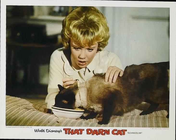 Hayley Mills, playing the character of Patti Randall in "That Darn Cat!: (1965). (MovieStillsDB)