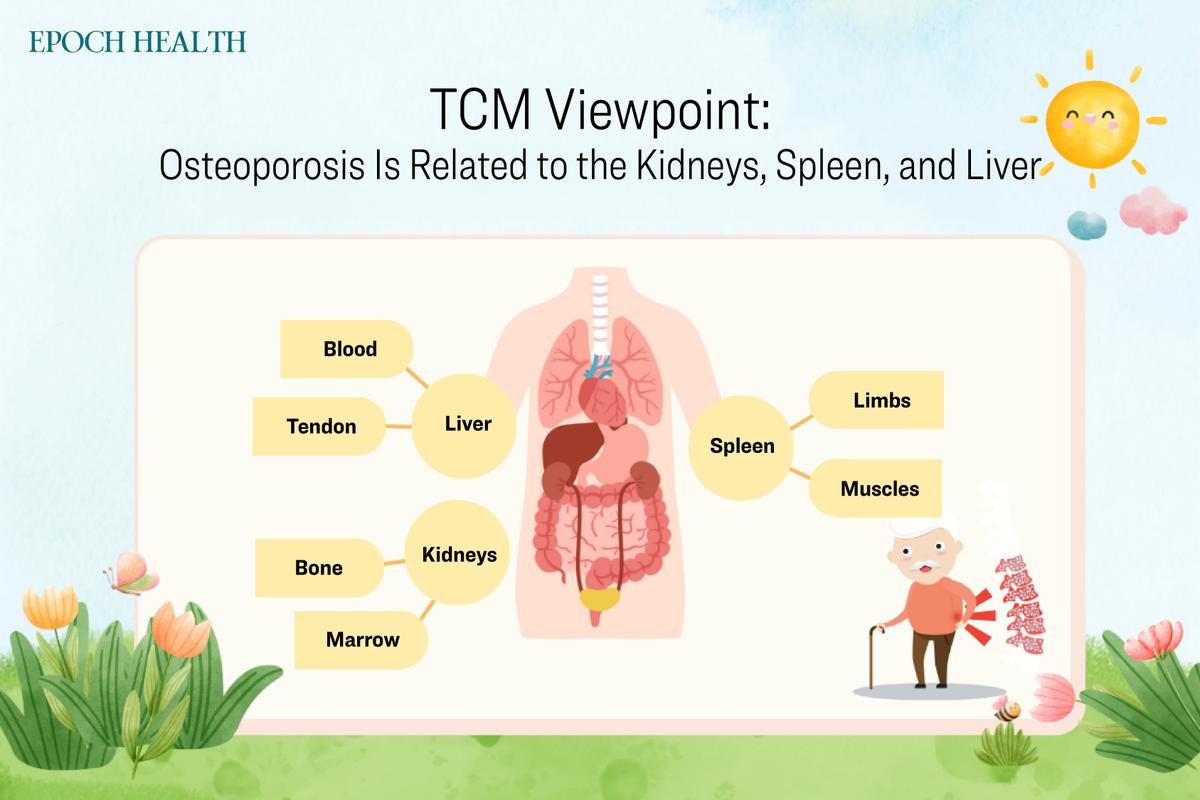 According to TCM, osteoporosis is associated with the kidneys, spleen, and liver. (The Epoch Times)