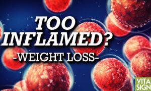 Will Cutting Inflammation Boost Weight Loss? What Is the Lifestyle ‘Triad’ of Obesity? | Feat. Dr. Damon Noto
