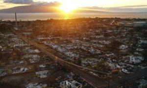 ‘Forgotten’ Maui Residents Face Critical Moment for Economy