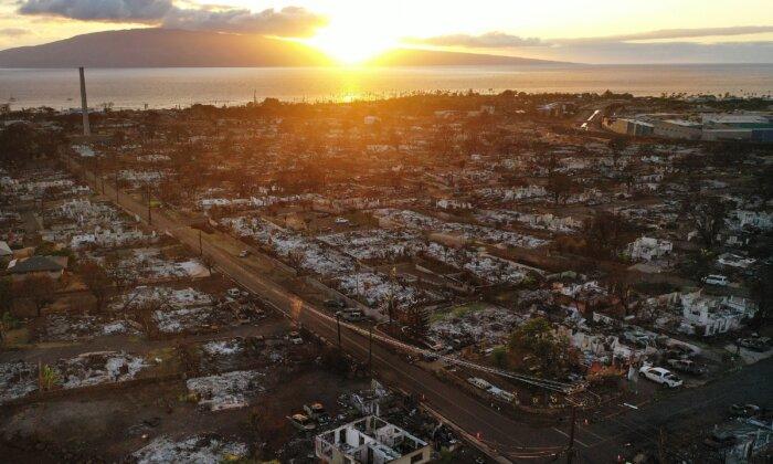 Housing for Maui Fire Survivors Delayed by Red Tape