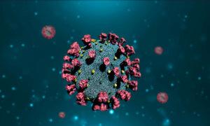 New COVID Variant ‘HV.1’ Has Surprising Mutations