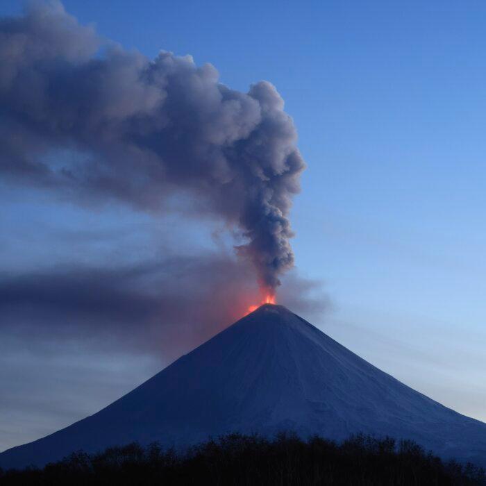 The Epoch Times